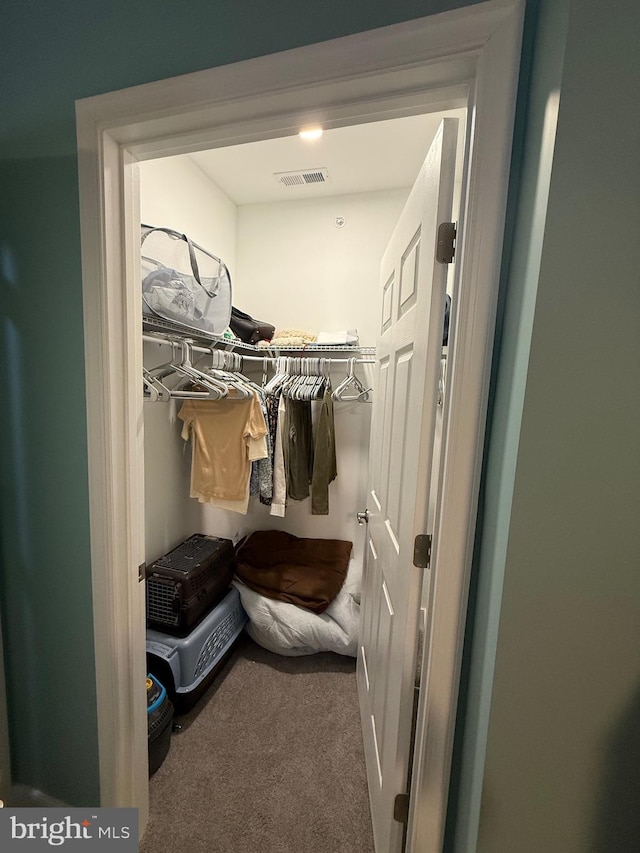 spacious closet featuring carpet flooring and visible vents