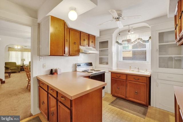 kitchen with ceiling fan, electric range, a sink, and under cabinet range hood