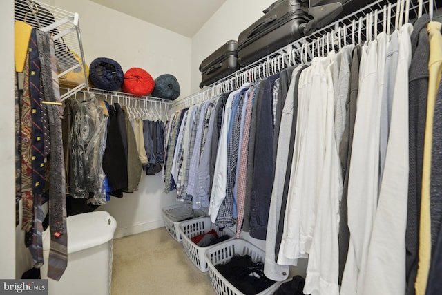 view of spacious closet