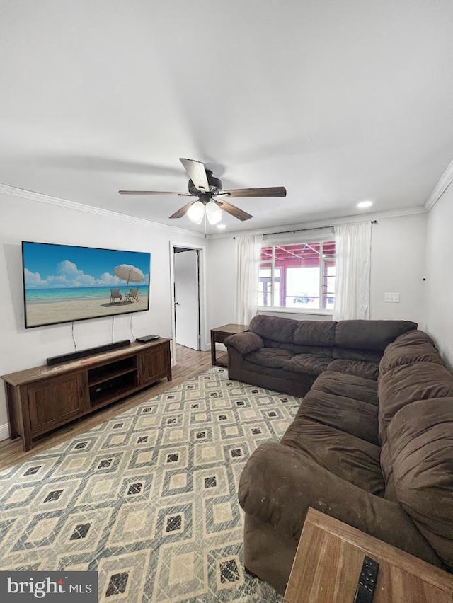 living area with ceiling fan, ornamental molding, and light wood-type flooring