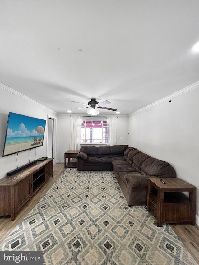 living area with ornamental molding, ceiling fan, light wood finished floors, and baseboards