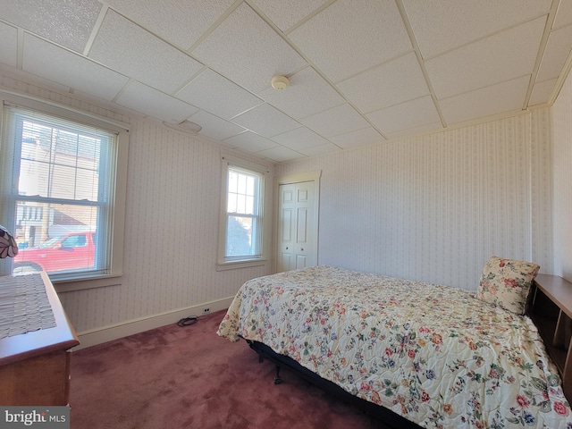 bedroom featuring a closet, carpet flooring, a drop ceiling, baseboards, and wallpapered walls