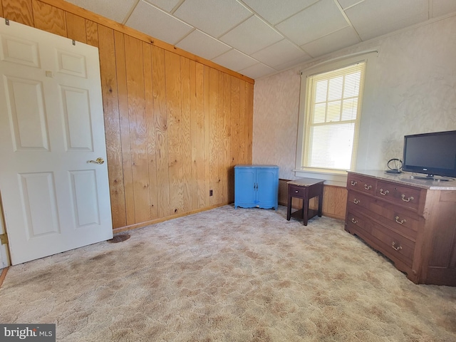 interior space featuring light carpet and wooden walls