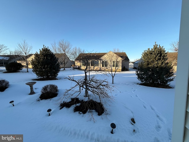 view of yard layered in snow