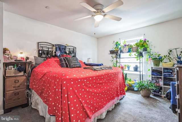 bedroom with carpet floors