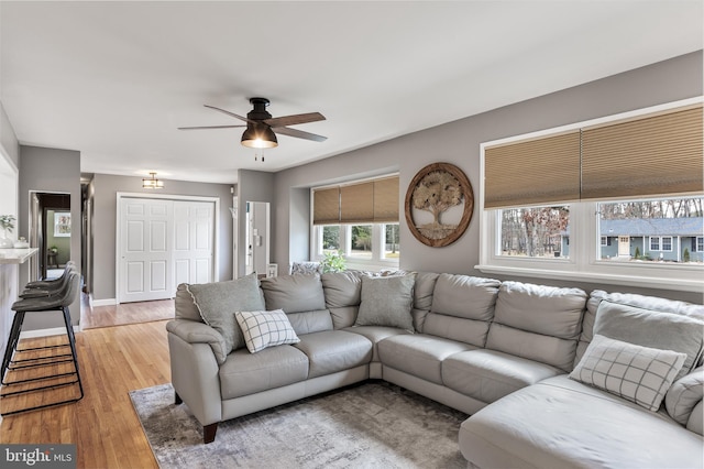 living room featuring ceiling fan, light wood-style flooring, and baseboards