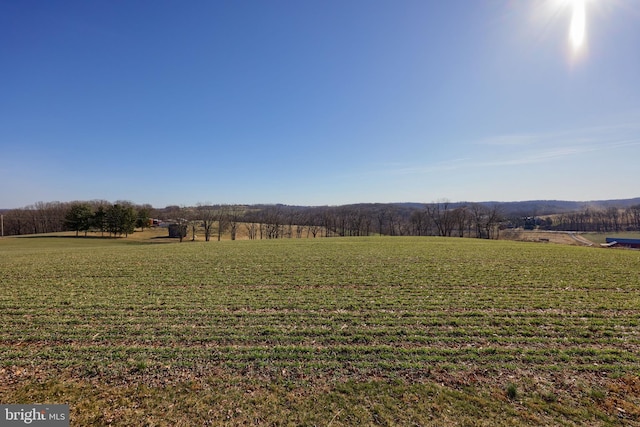 view of nature with a rural view