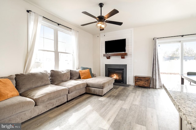 living area featuring light wood-style flooring, a fireplace, and a wealth of natural light