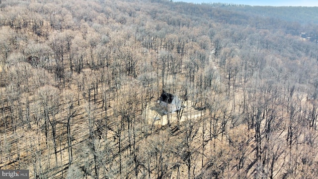 aerial view with a wooded view