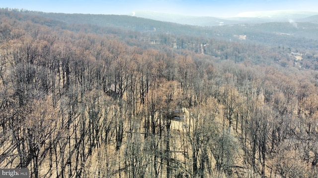 drone / aerial view featuring a forest view and a mountain view