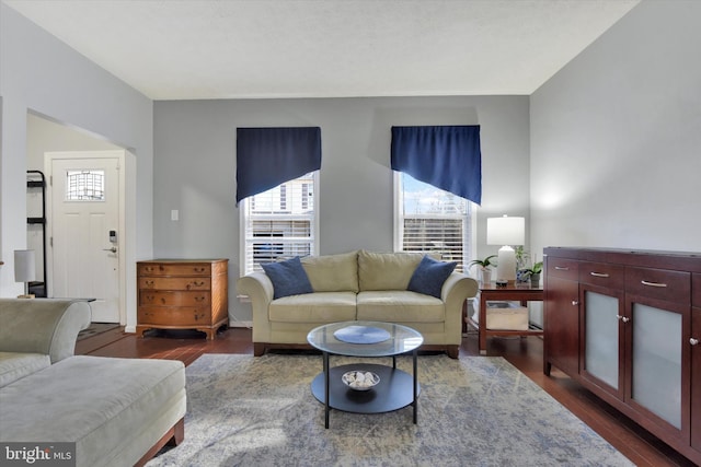 living room with dark wood-style floors and plenty of natural light