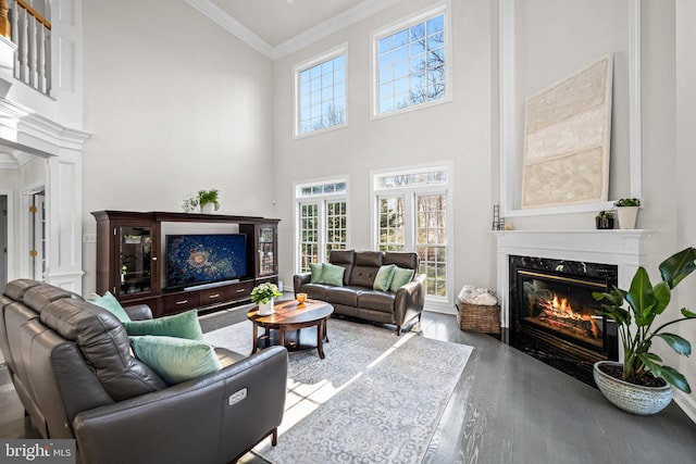 living room with crown molding, a high ceiling, wood finished floors, and a premium fireplace