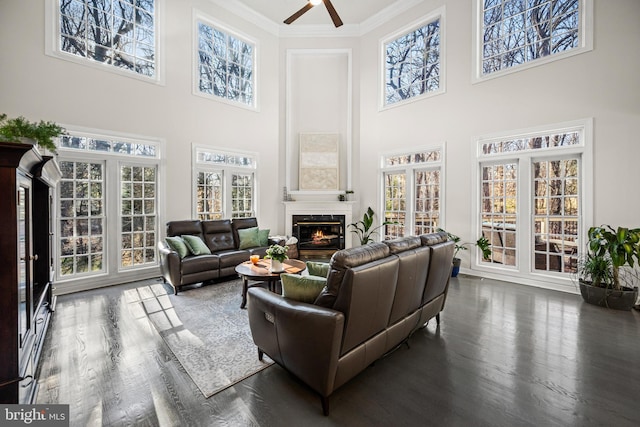 living area featuring a high end fireplace, ceiling fan, ornamental molding, a high ceiling, and wood finished floors