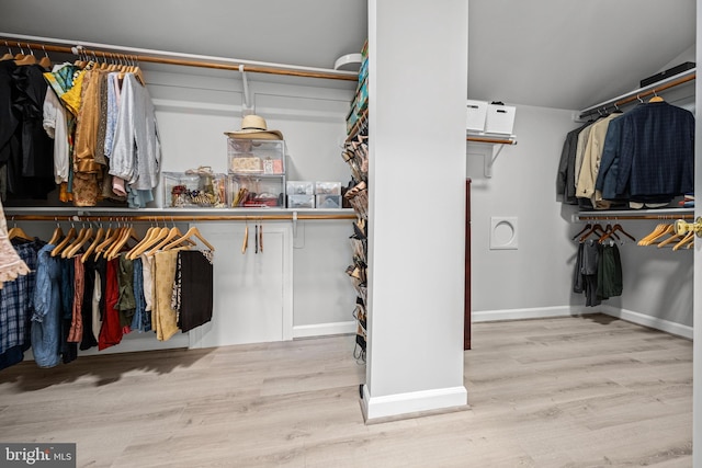 walk in closet featuring wood finished floors