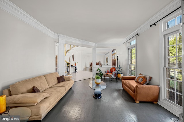 living area featuring hardwood / wood-style floors, crown molding, and stairway