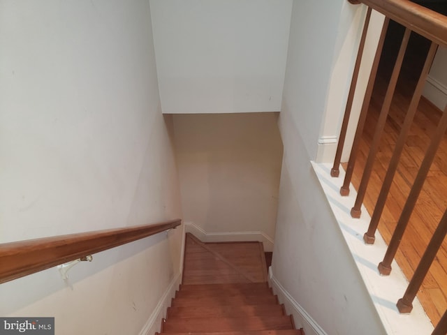 staircase featuring wood finished floors