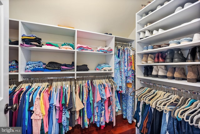 spacious closet featuring dark wood-style flooring