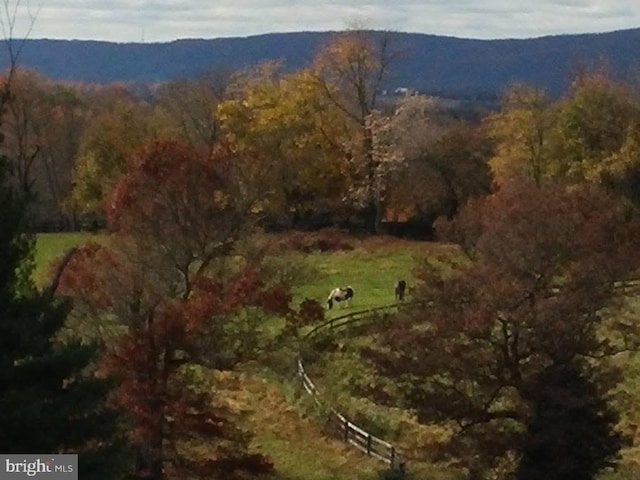 view of mountain feature with a wooded view