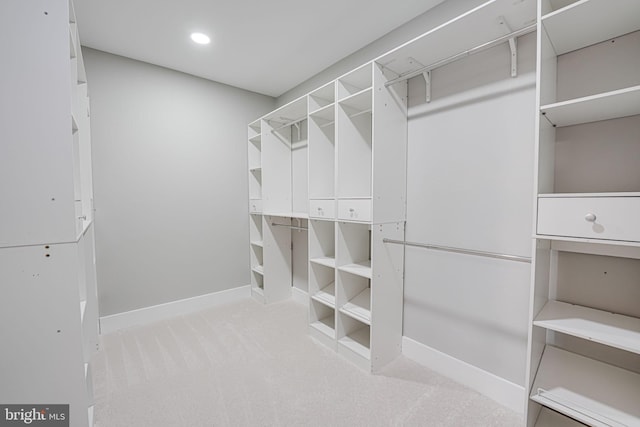 spacious closet featuring carpet floors