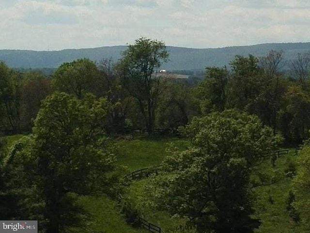 mountain view with a view of trees