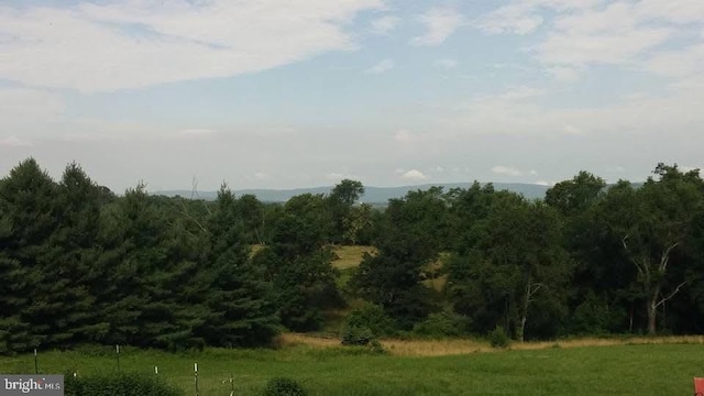 view of nature with a forest view