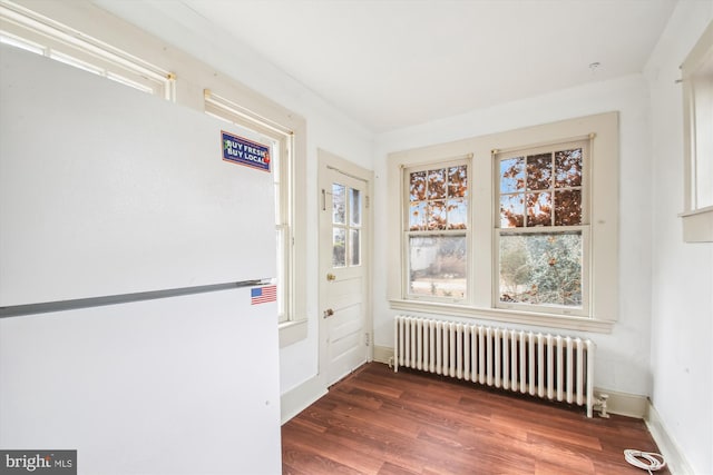 interior space featuring a wealth of natural light, radiator, baseboards, and dark wood-style flooring