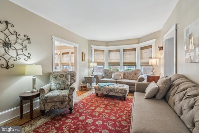 living room with baseboards and wood finished floors