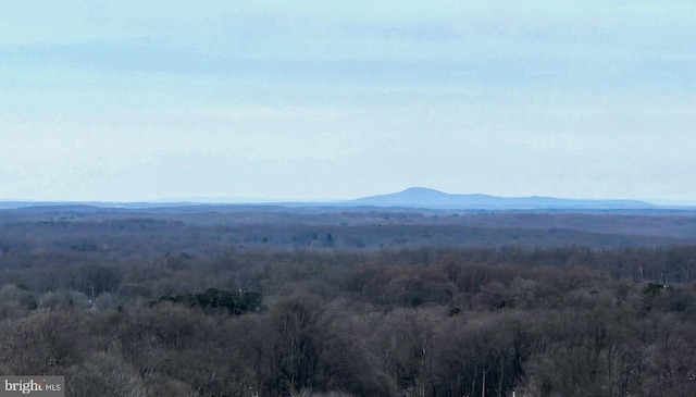 view of mountain feature