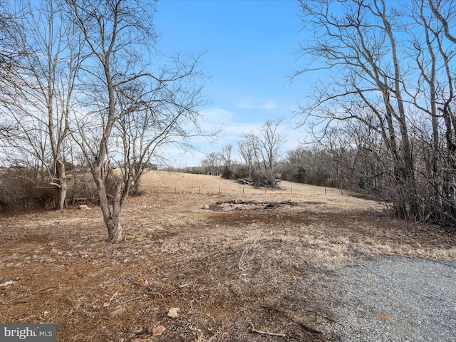 view of local wilderness with a rural view