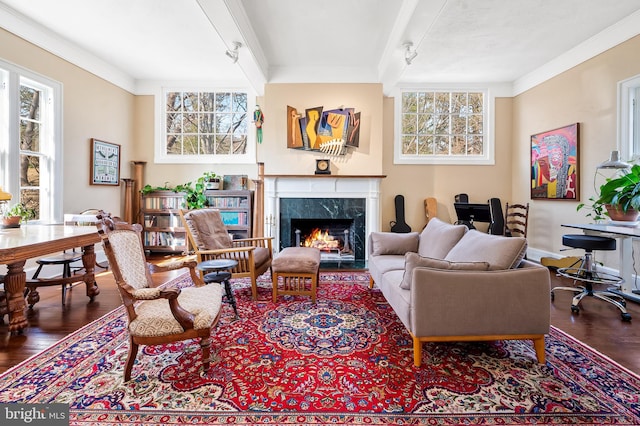 living area with a healthy amount of sunlight, a premium fireplace, ornamental molding, and wood finished floors