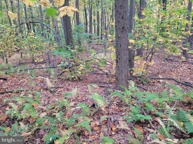 Listing photo 2 for LOT276IRONMASTERS Sandlewood Way, Claysburg PA 16625