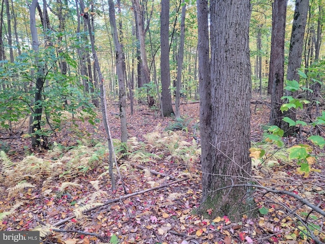 Listing photo 3 for LOT276IRONMASTERS Sandlewood Way, Claysburg PA 16625