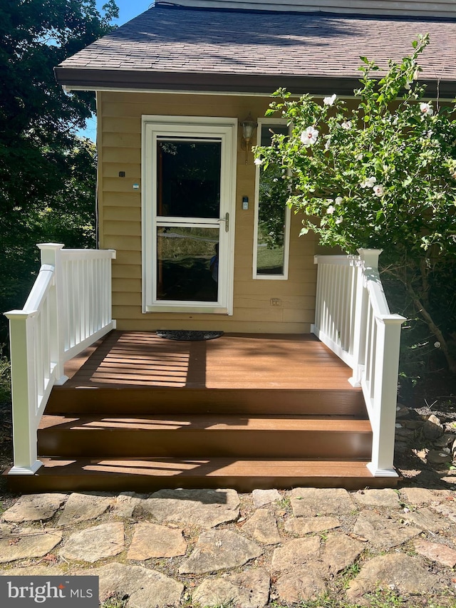 property entrance featuring roof with shingles