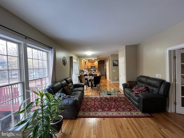 living room featuring light wood-style floors