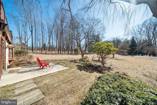 view of yard featuring a patio area