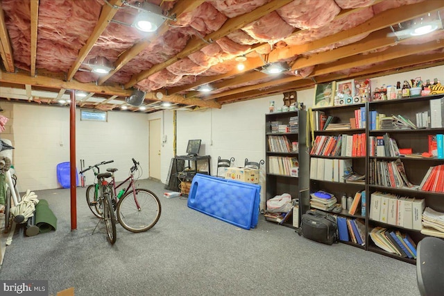 unfinished basement featuring carpet