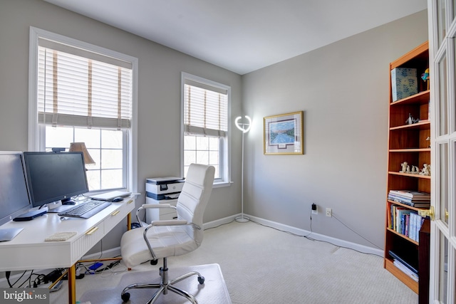 office space featuring carpet and baseboards