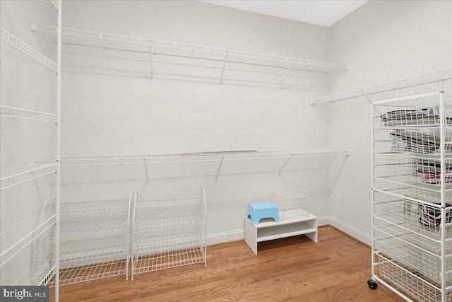 spacious closet featuring wood finished floors