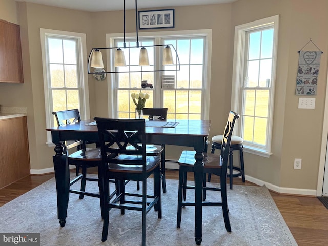 dining space featuring a baseboard radiator, wood finished floors, and baseboards