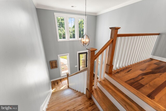 36976 Walnut Park Ln, Purcellville, VA 20132 - stairway featuring a chandelier, wood finished floors, ornamental molding, and baseboards