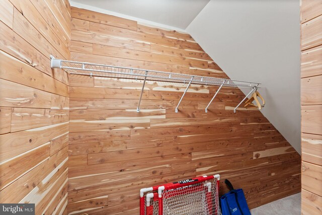 36976 Walnut Park Ln, Purcellville, VA 20132 - view of spacious closet