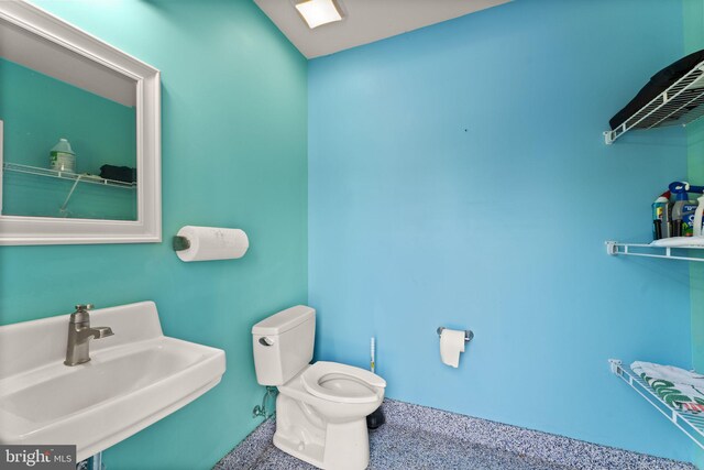 36976 Walnut Park Ln, Purcellville, VA 20132 - bathroom featuring a sink and toilet