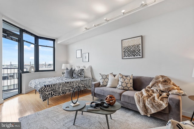 living area featuring wood finished floors