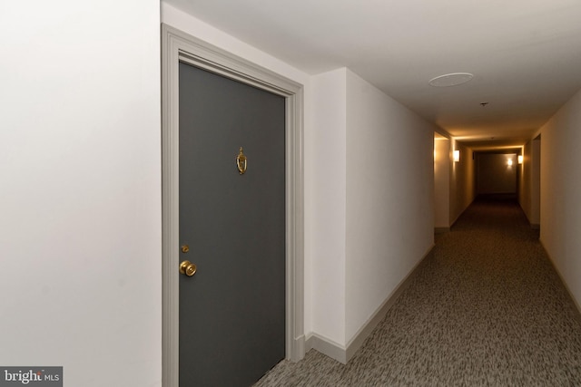 hall featuring baseboards and carpet floors