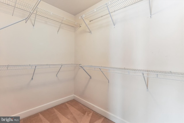 walk in closet with light colored carpet