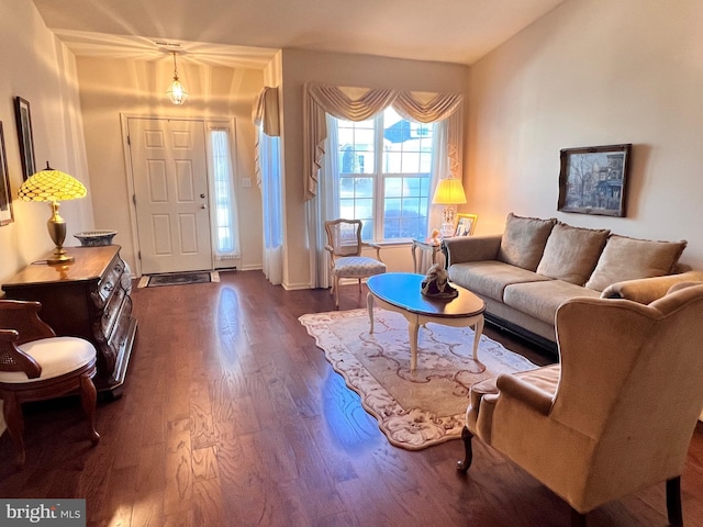 living room featuring dark wood-type flooring