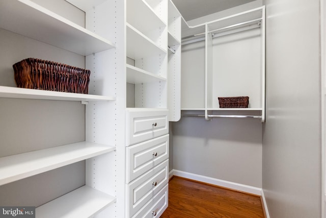 walk in closet featuring wood finished floors