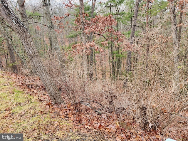 Moccasin, Basye VA, 22810 land for sale