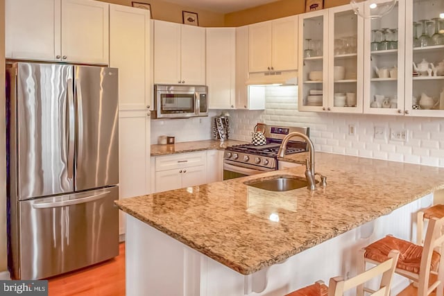 kitchen with tasteful backsplash, appliances with stainless steel finishes, a peninsula, under cabinet range hood, and a sink