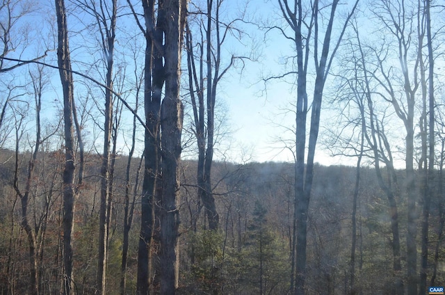 view of mountain feature featuring a forest view